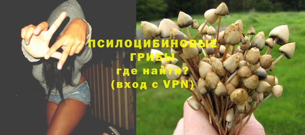 PSILOCYBIN Богородицк