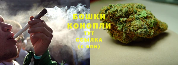 PSILOCYBIN Богородицк